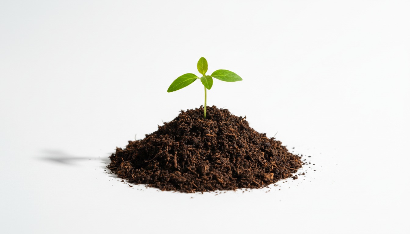 Management en optimalisatie in de zwembranche